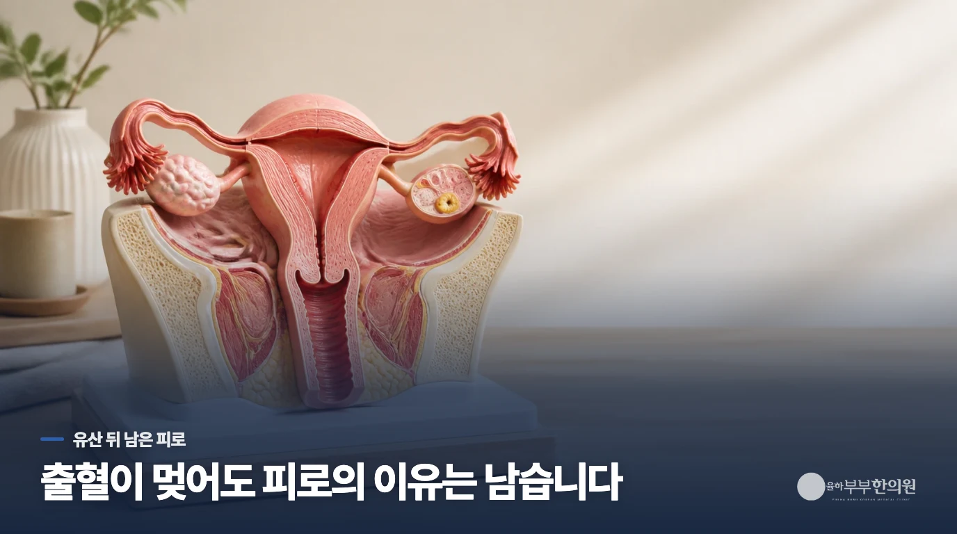 피는 멎었는데, 장을 보고 오면 하루가 버겁습니다