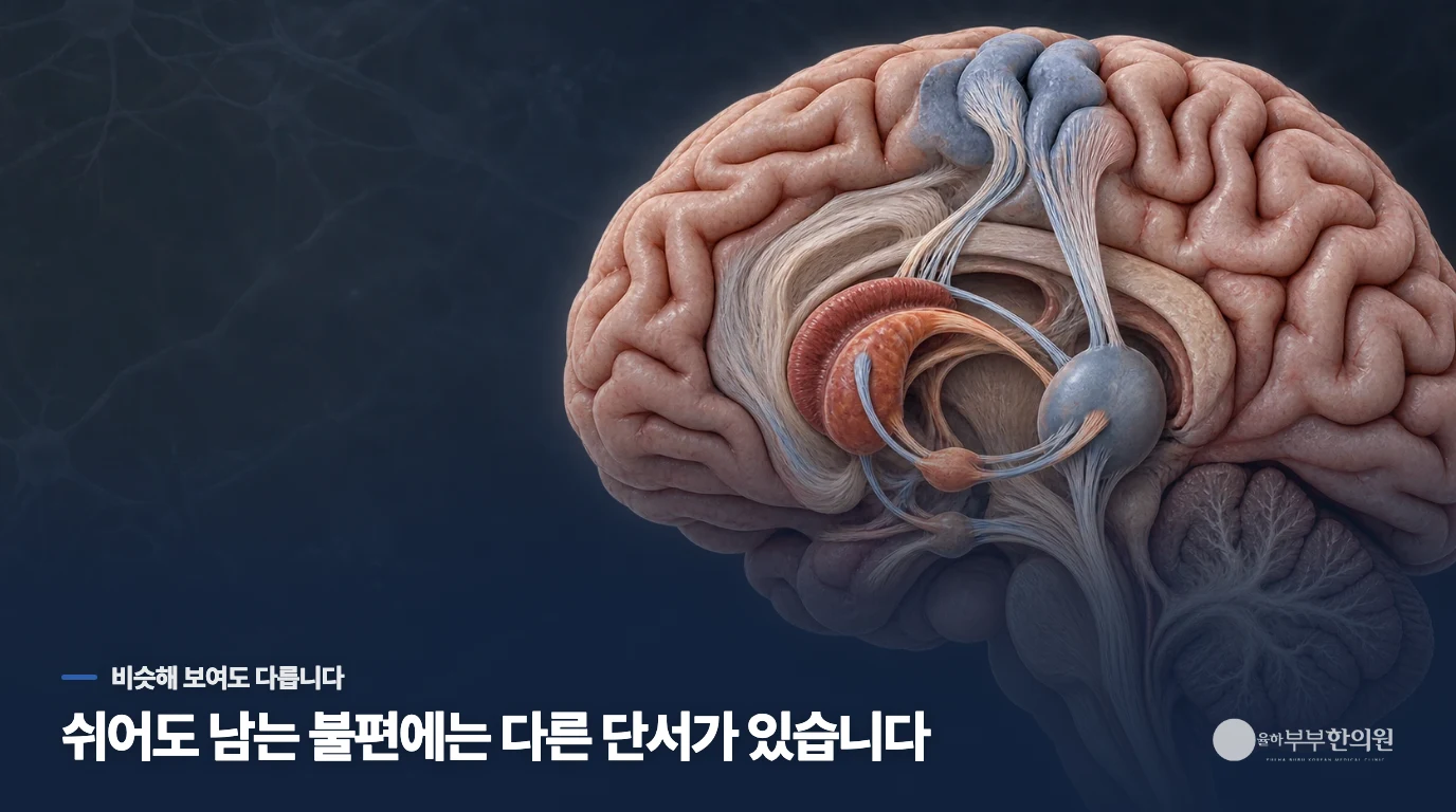 긴장할 때와 쉴 때의 차이만으로 원인을 나누지 마세요