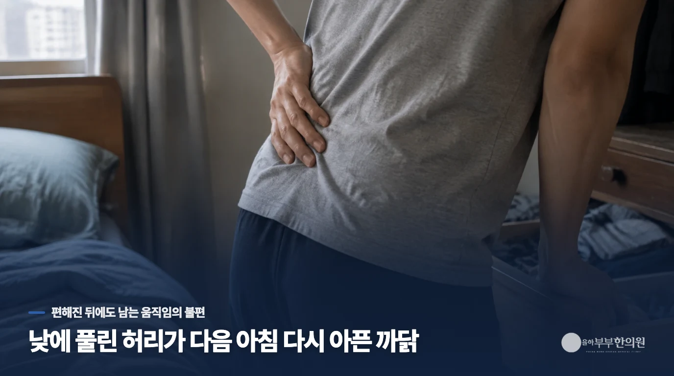 낮에 풀린 허리가 다음 아침 다시 아픈 까닭