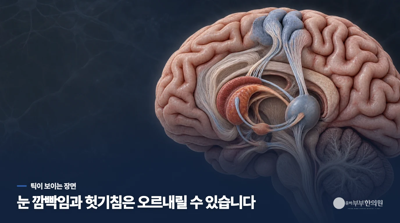 눈 깜빡임과 헛기침이 틱으로 보이는 모습