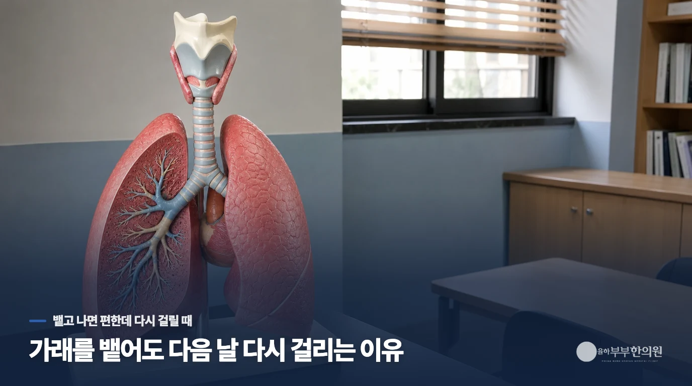 가래를 뱉어도 다음 날 다시 걸리는 이유