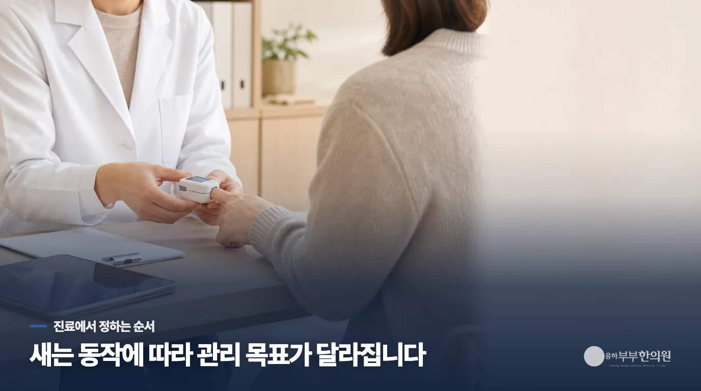 진료에서는 새는 장면에 맞춰 관리 순서를 정합니다
