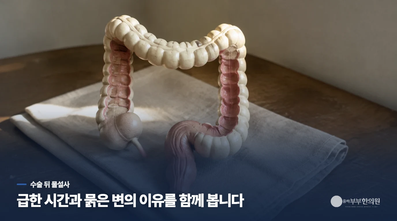 담낭을 뗀 뒤 물설사가 이어지는 이유