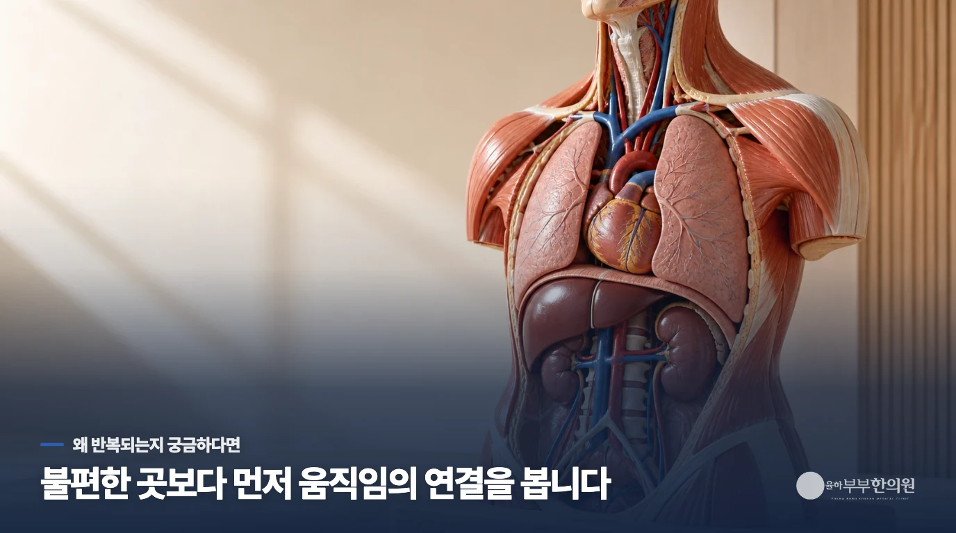 아기보약을 정하기 전 성장표와 복용 중인 것을 봅니다