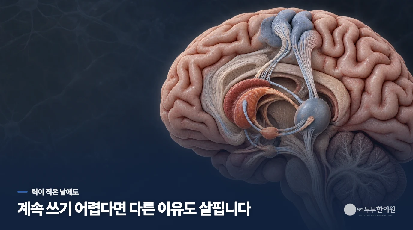 틱이 덜 보이는 날에도 쓰기만 유난히 어렵다면