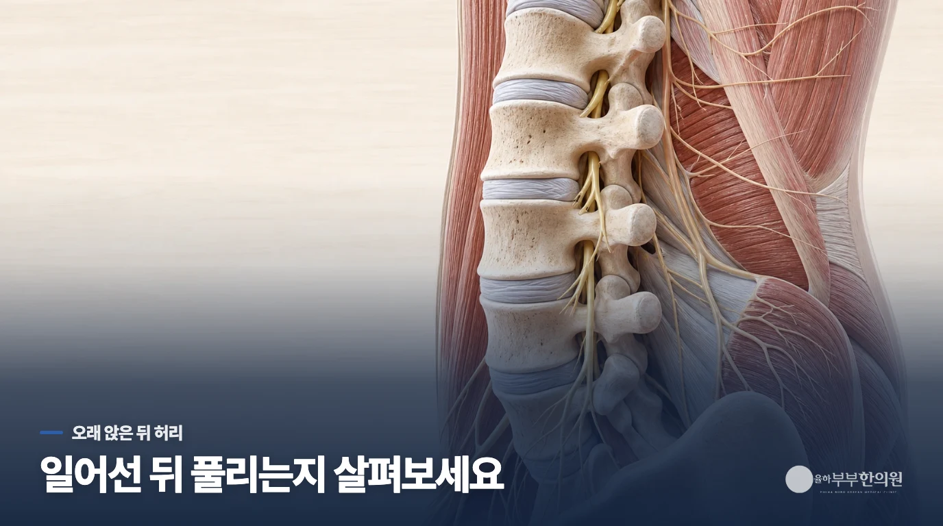 허리통증이 오래 앉은 뒤 굳는 이유는 무엇인가요?