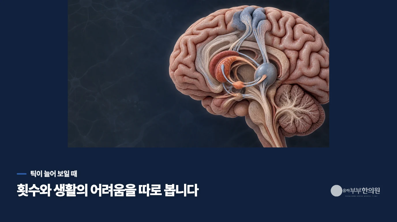 틱이 눈에 띄는 날, 무엇이 가장 힘든가요?
