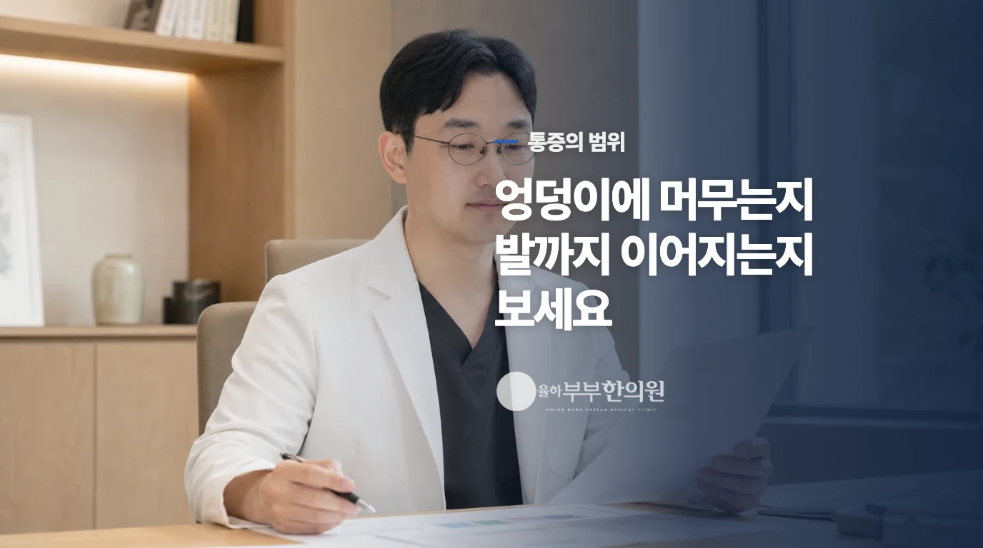 근육성 통증과 가르는 단서는 저림이 머무는 범위입니다