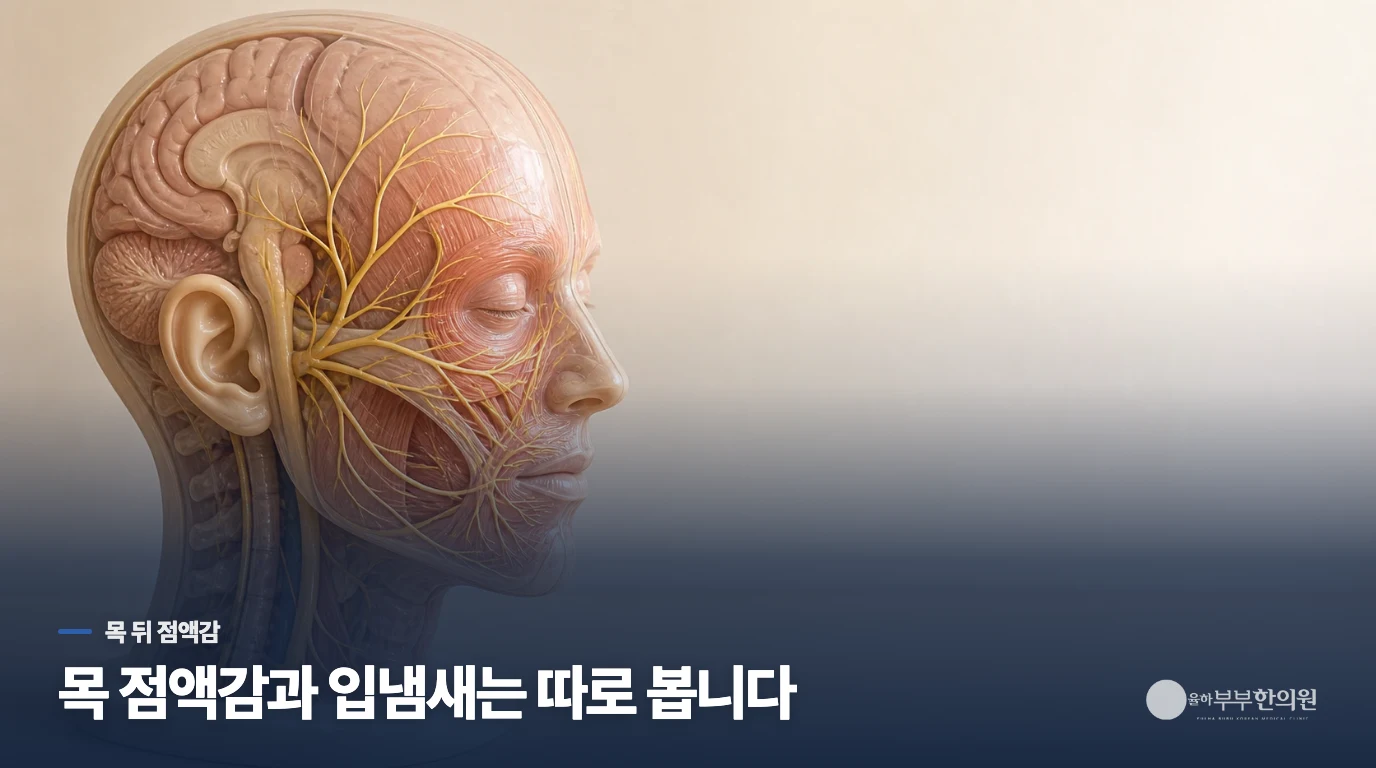 후비루가 있으면 왜 목에 가래가 붙은 듯 느껴질까요?