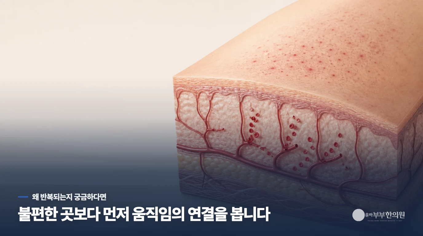 다리에 붉은 점이 가라앉지 않는 진짜 이유
