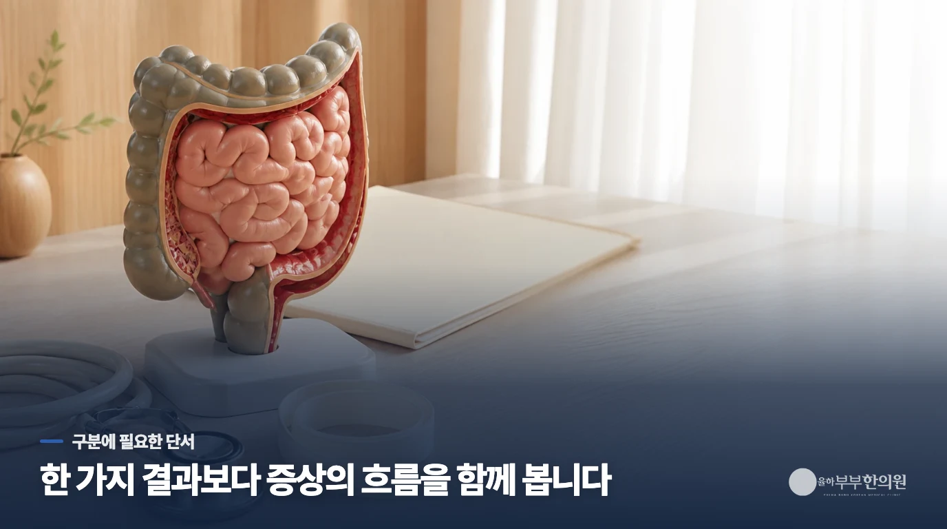 일상에서 위장의 긴장을 낮추고 점막 부담을 줄이려면 어떻게 해야 하나요?