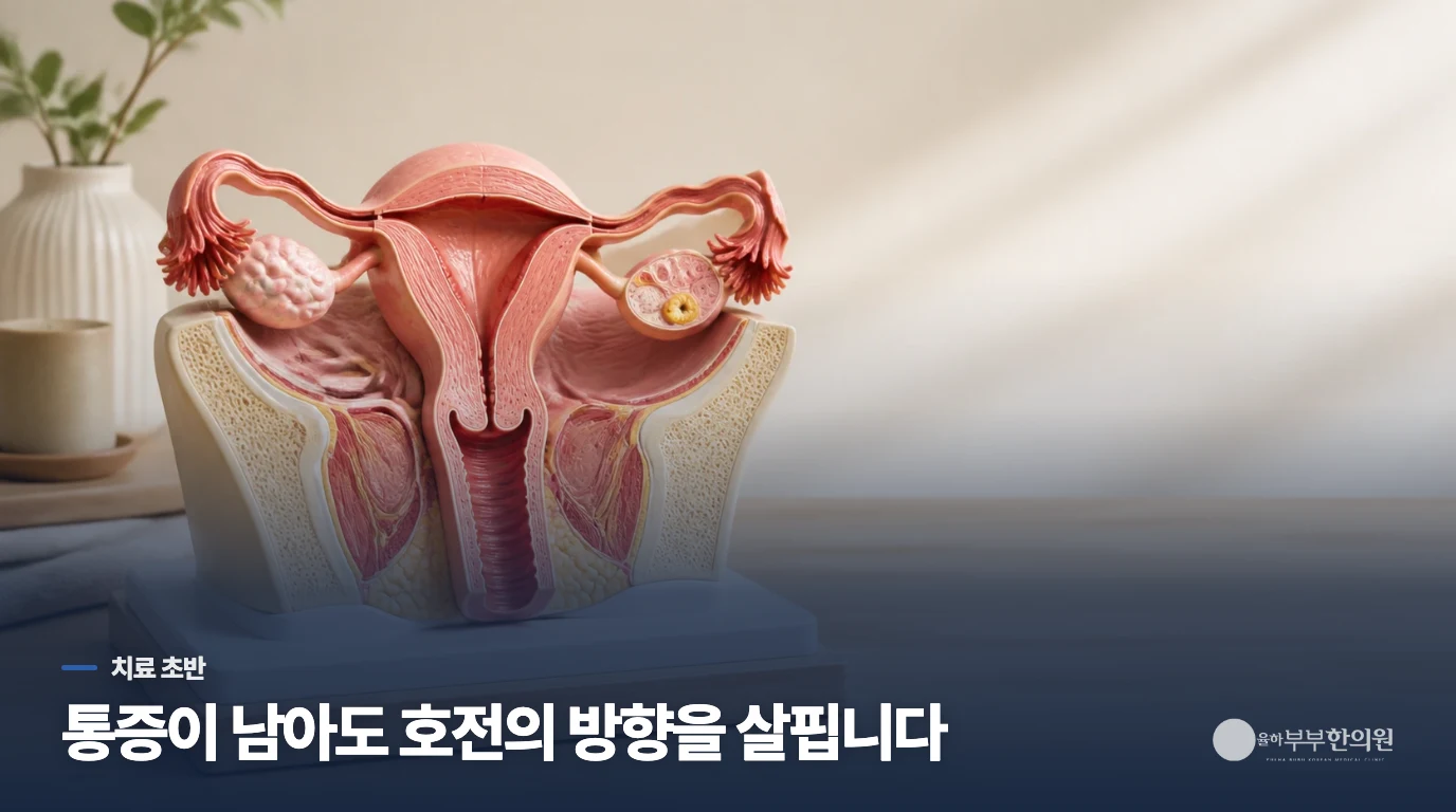 약을 시작했는데도 아랫배가 아픈 이유