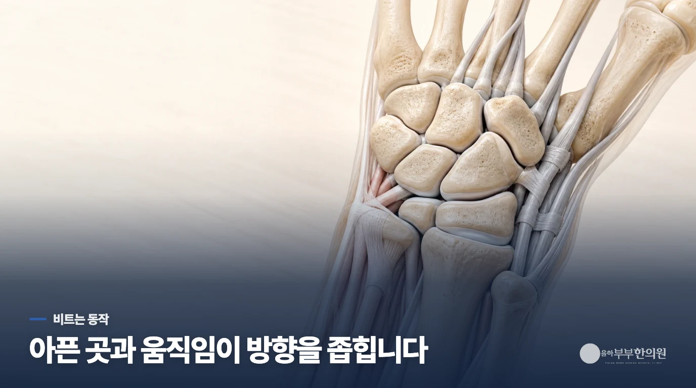 문고리 앞에서 손목을 비트는 순간 아픈 이유