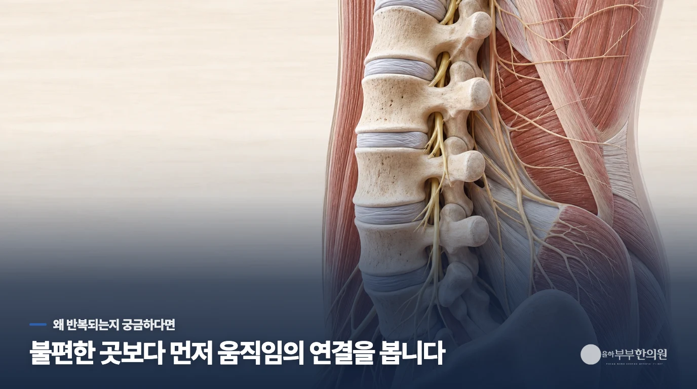 산후 허리 뻐근함은 왜 생기는 걸까요.