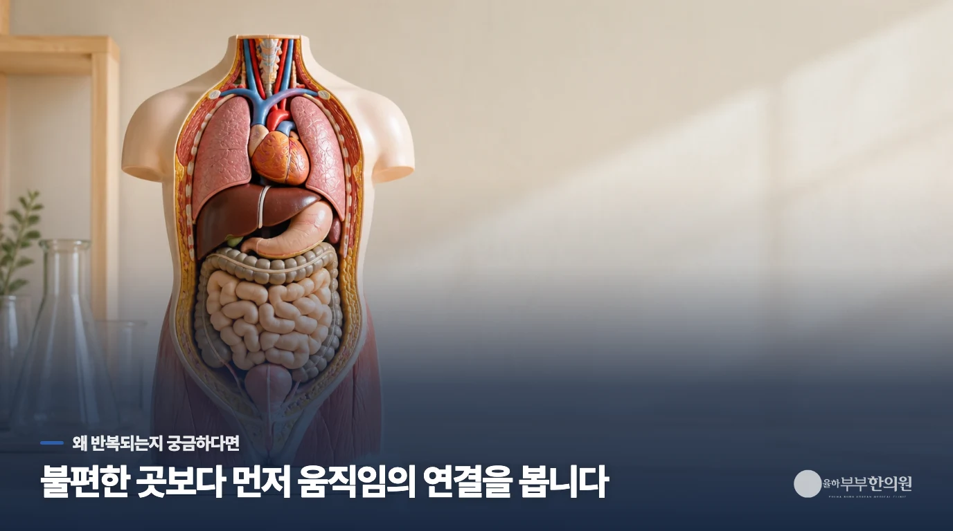 배는 덜 고픈데 왜 자꾸 먹고 싶을까요?