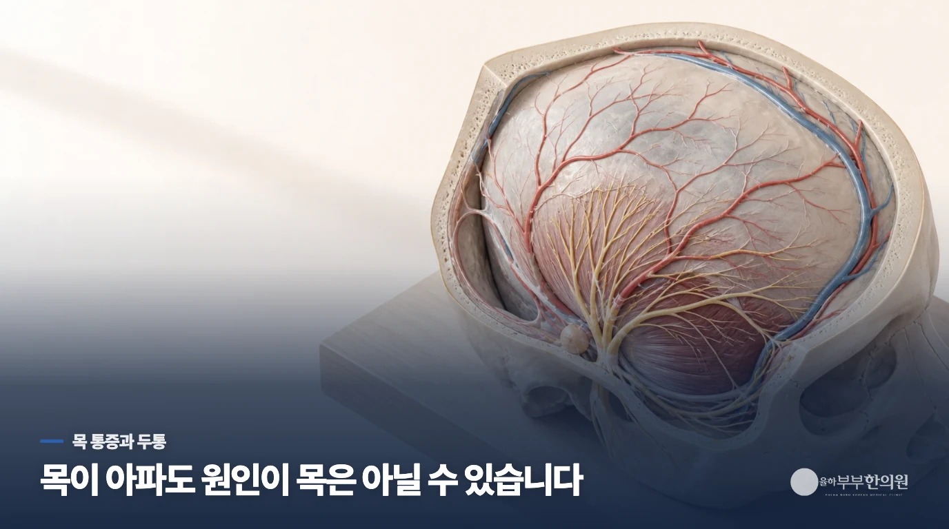 목이 뻣뻣하면 두통의 원인은 목일까요?