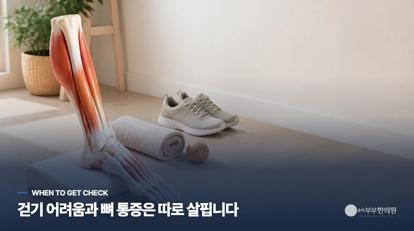 멍보다 뼈 통증과 감각 변화를 살펴야 할 때