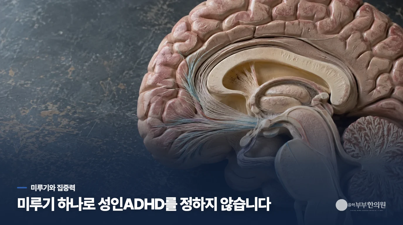 일을 미루는 모습만으로 성인ADHD를 판단할 수 없는 이유