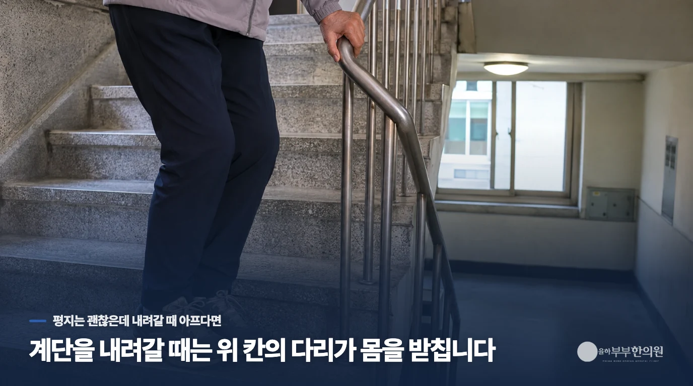계단을 내려갈 때는 위 칸의 다리가 몸을 받칩니다