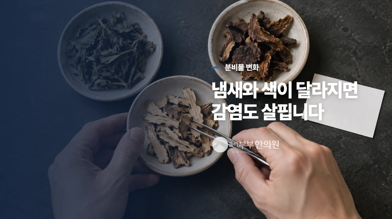 분비물과 냄새가 달라지면 감염 가능성도 살펴야 합니다