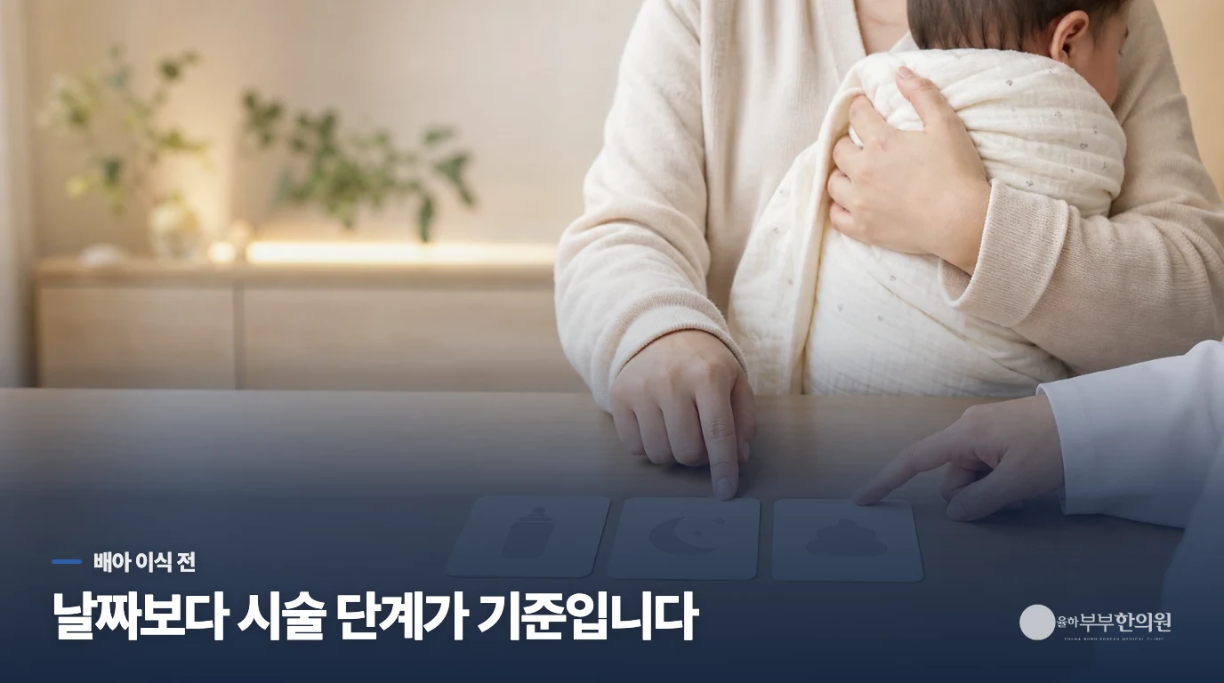 배아 이식 날짜를 받으면 바로 시작해도 될까요?