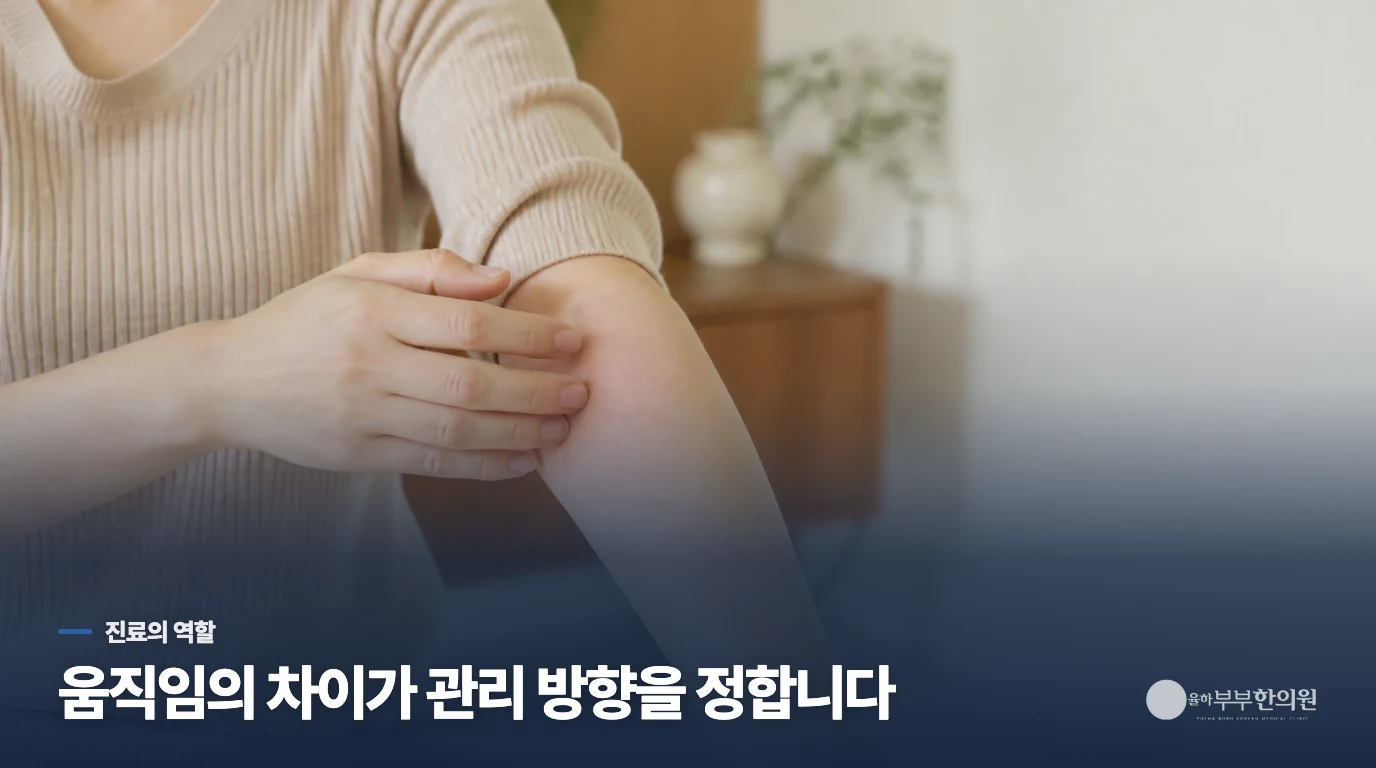 진료에서는 팔을 올리고 내리는 과정을 나눠 봅니다