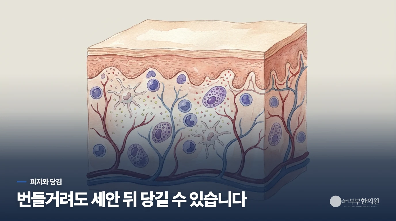 얼굴이 번들거려도 당길 수 있는 이유는 무엇일까요?