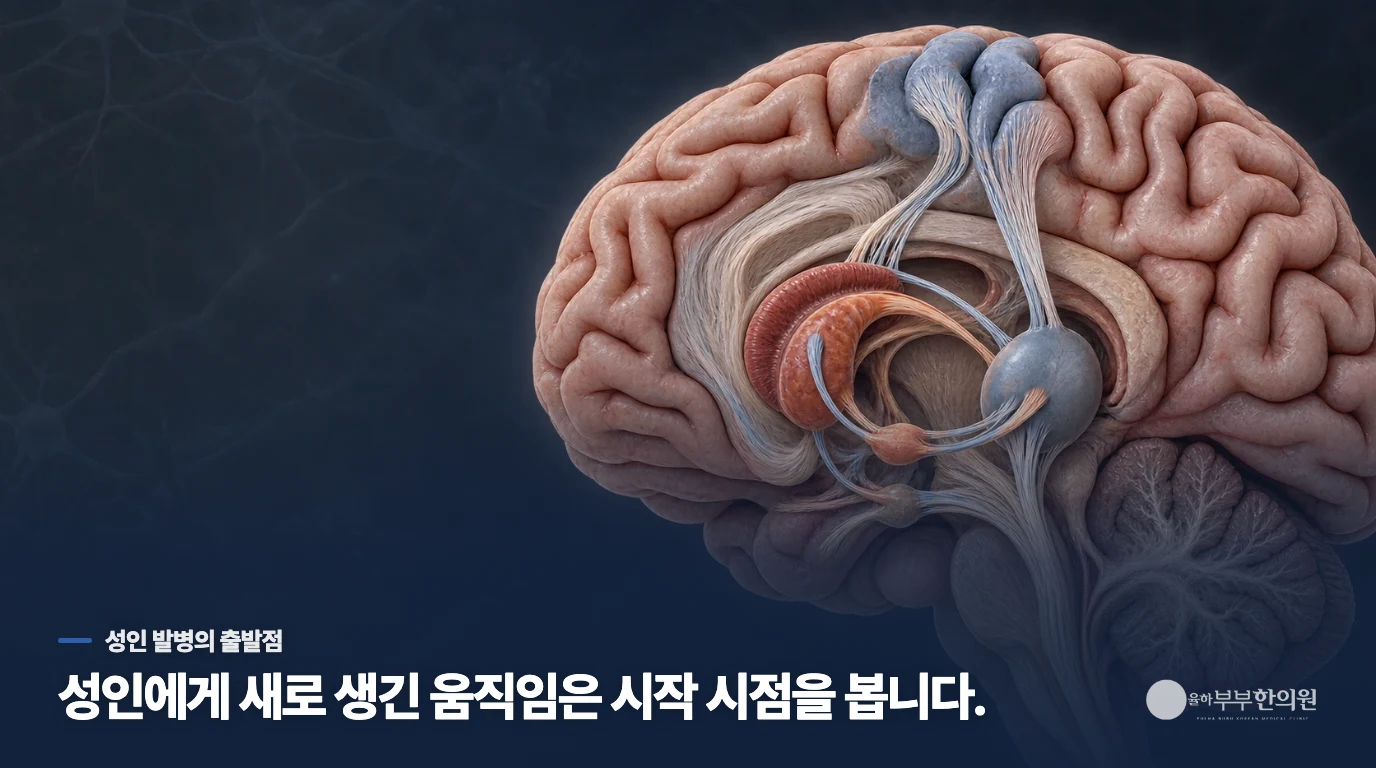 성인이 된 뒤 처음 생긴 움직임을 틱으로만 보지 않는 이유